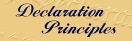 Declaration principles